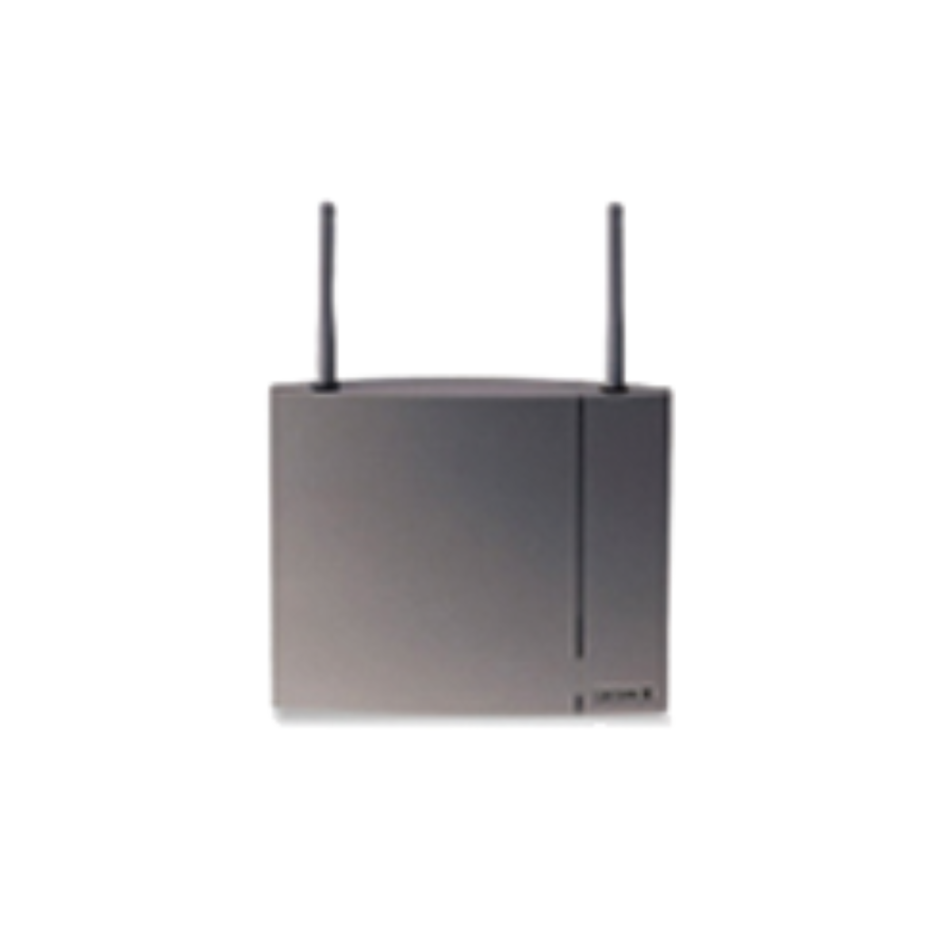 DECT base station server