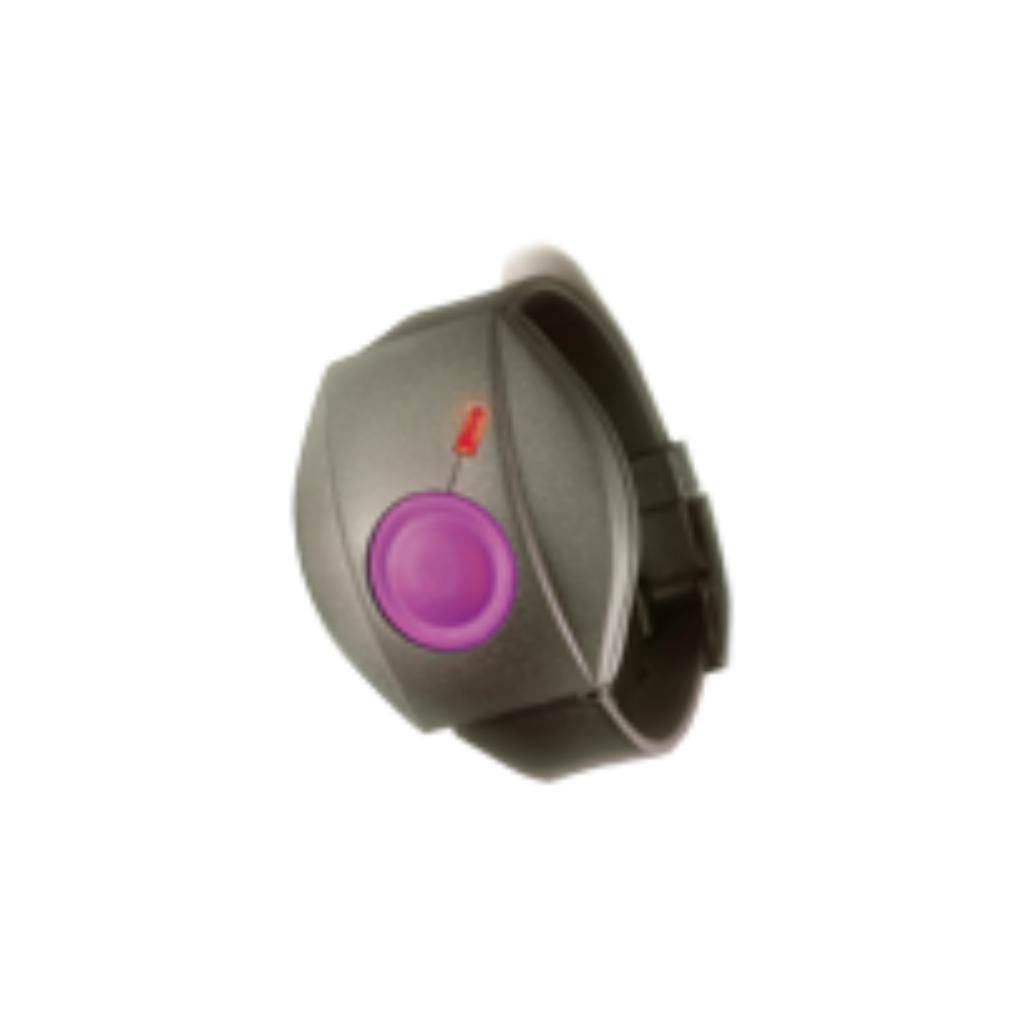 Wrist-watch style